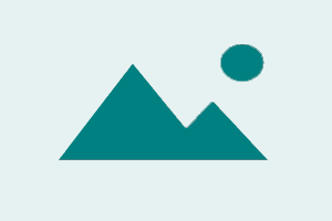 Repair Fix Auth Tool  Xiaomi Flash/EFS/Mi Cloud  EXISTING USER